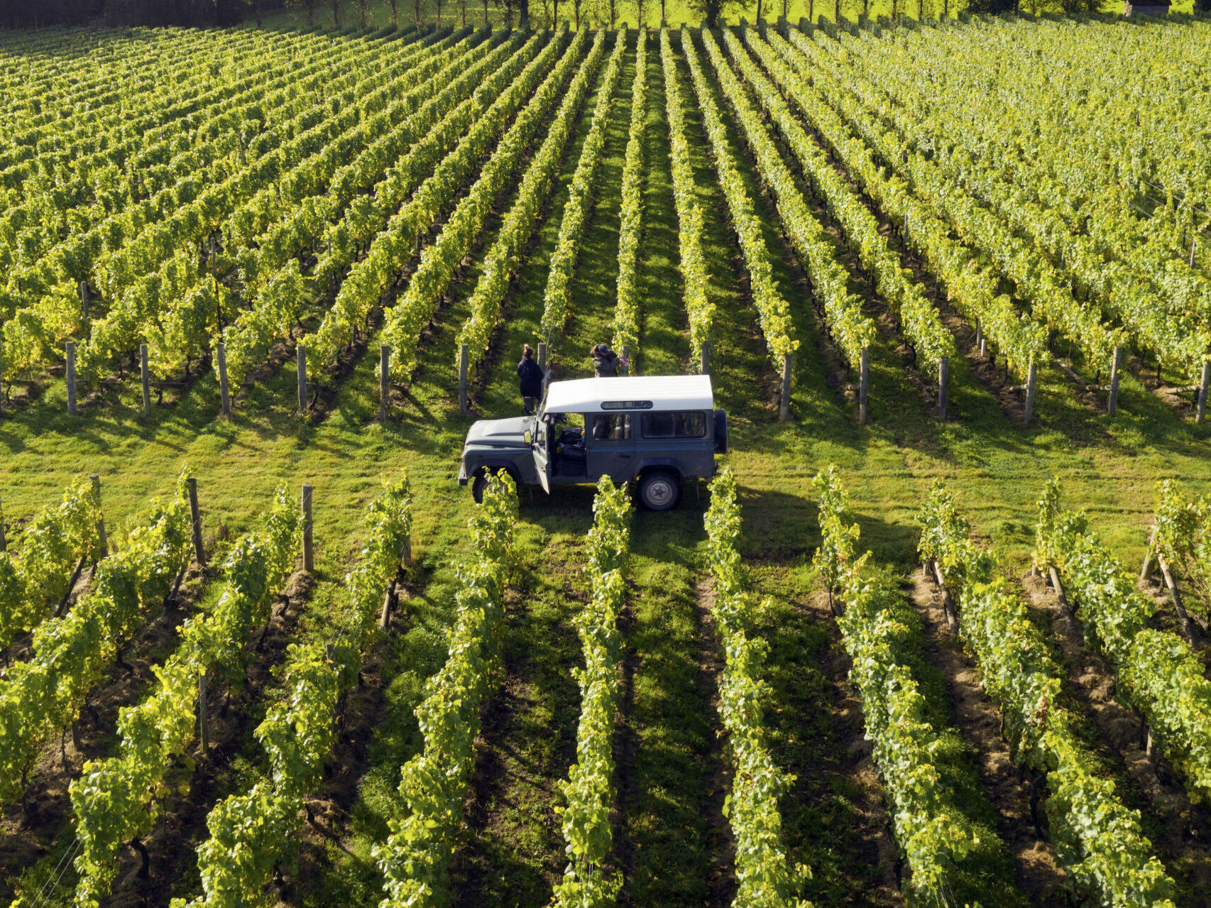 https://estreetbarandgrill.co.uk/app/uploads/2024/08/Harvest-Landrover-scaled-e1725015722106.jpg